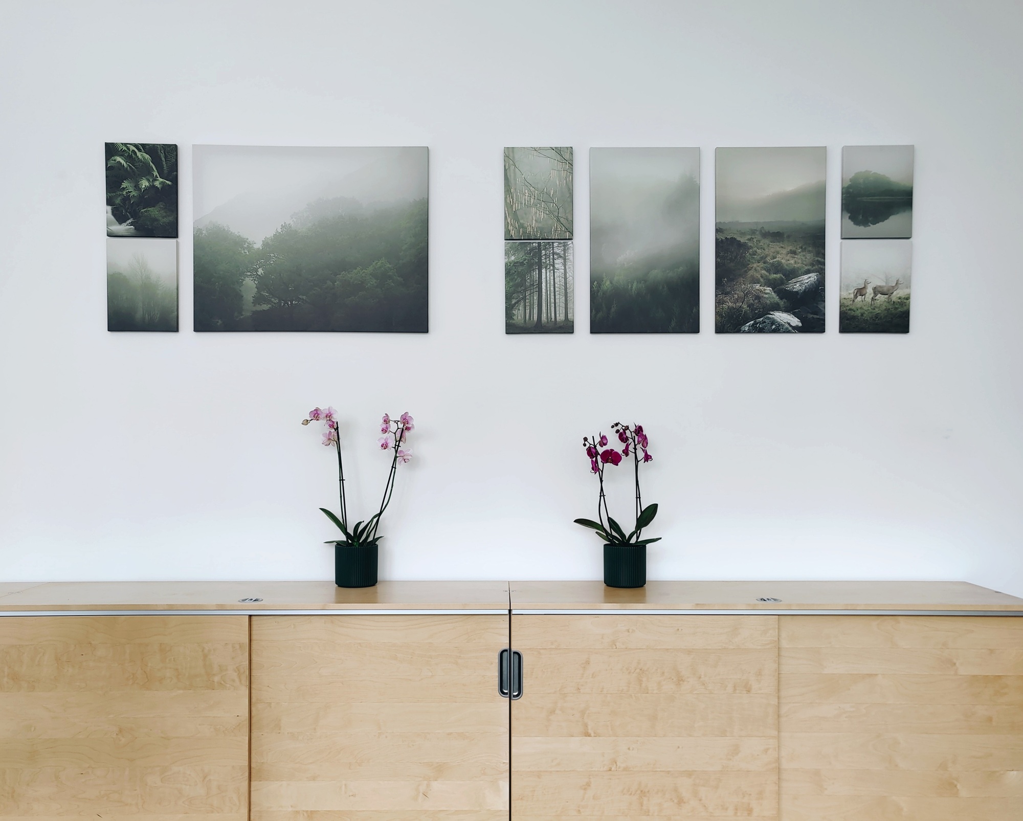 Modern eingerichteter Raum mit Holzschrank, Orchideen und Naturbildern – Symbol für neue, inspirierende Arbeitsumgebung bei inView